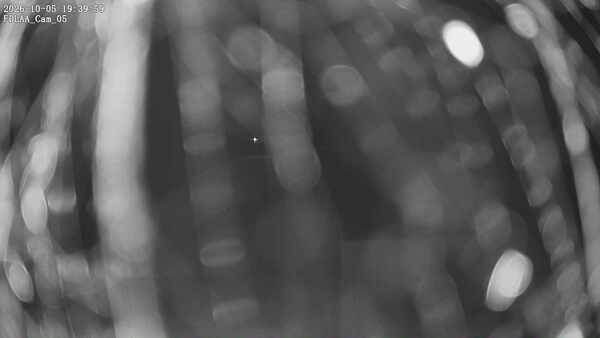 Parking Camera