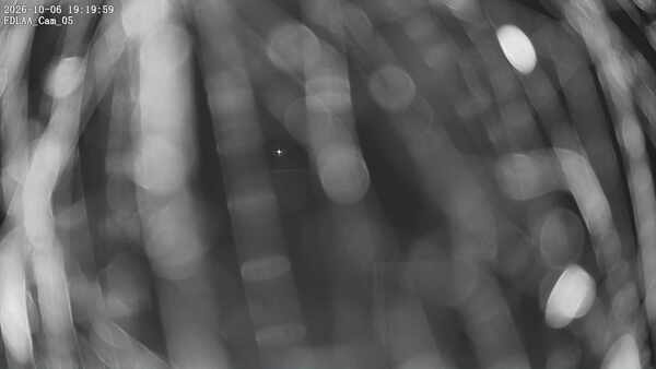 Parking Camera