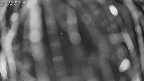 Parking Camera